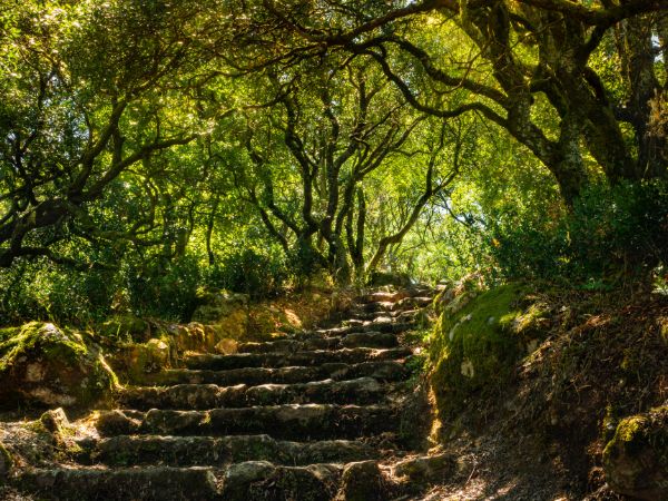 Venture into the Unseen Beauty of Portugal